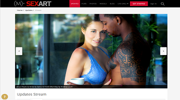 Sex Art