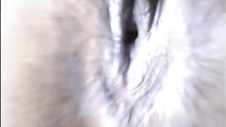 Hot Indian College Girl Nude Video