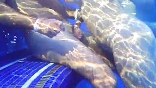 peeping underwater on the pool therme sauna spa