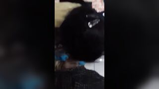 Punjaban gf bf sex video have more parts