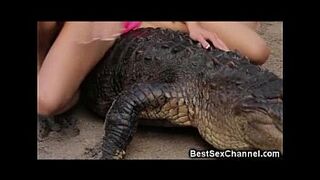 WTF Hot Babes Riding Alligators!