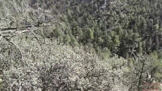 She Sucks & Swallows on a Public Hiking Trail