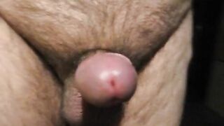 PENIS