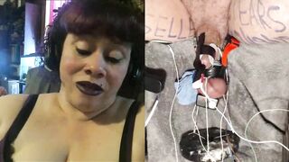 Cock and balls frying
