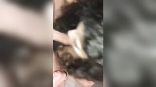 Chienne Arabe Kabyle Algerienne Arab Slut Algerian Dog