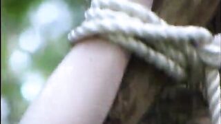 Cruxdreams Clip