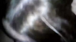 Portuguese girlfriend sextape