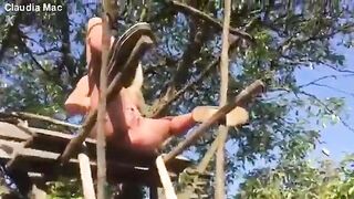 Claudia Macc -pee in public
