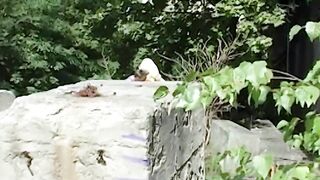 Schwanz geile Blondine im Nachbargarten