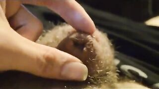 My boyfriends super tiny cock