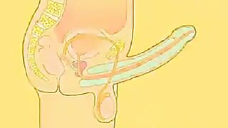 Crazy Cartoon