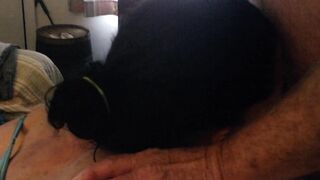 Little Blo Peep Jade,