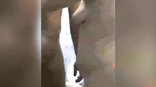 Mlive Thailand Hot Sex in Bathroom