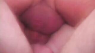 Ginger Bush 5