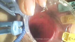 Pussy and urethal torture