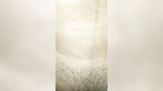 Dasi saxi videos