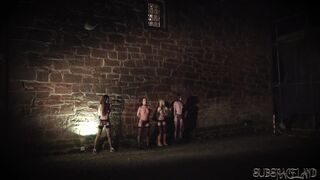 4 slaves punished and humiliated by master he fucks and slaps them