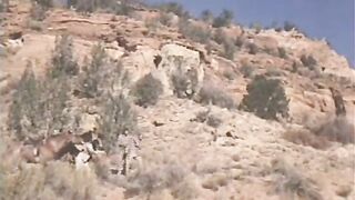 A Dirty Western (1975)