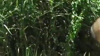 Hungarian gypsy girl is arranged