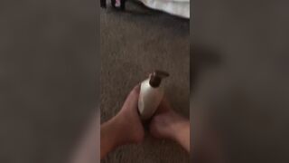 Lily S. Footjob simulation
