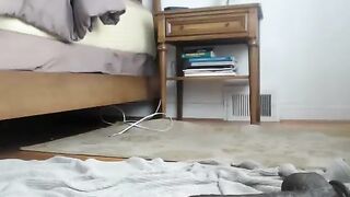 Blonde rides a black dildo in the room