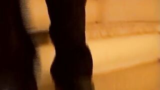 skinny french picked up for first time anal