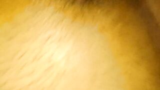 Indian sex – Indian porn