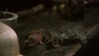 Czech3x.net - porn the ever made films greatest 35 among