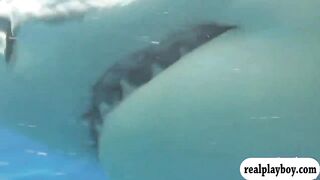 Badass babes swam in shark cage and snowboarding while naked