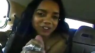 metisse cochonne