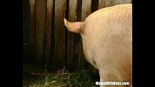 Brunette Lady Farmer Hairy Pussy Barn Fucked