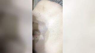 Julie Ginger take a BBC in ass