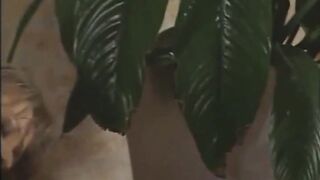 Vicious couples fucking together Vol. 5