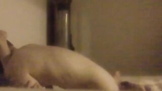 Fuckin squeaky milf stranger