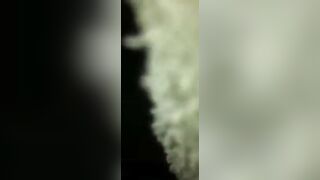 Anal gape amatuer