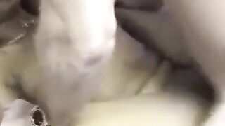 Indian Amateur surprise cream pie