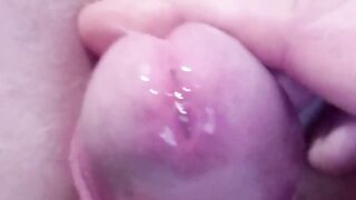 Some Horny Ass Vibrations - Part One