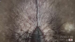 Snuffling 8 No.3 Masturbation while sniffing dirty pants herself version.
