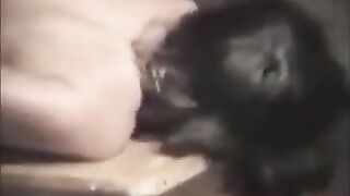 Lesbian adventure turns into domination