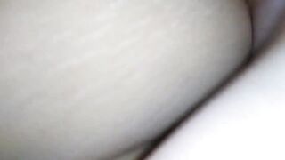 Addy dog pounded
