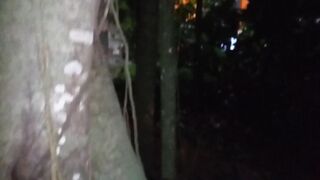 Sucking Unknown in the Wild