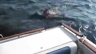Chubby Woman Fucked On A Boat