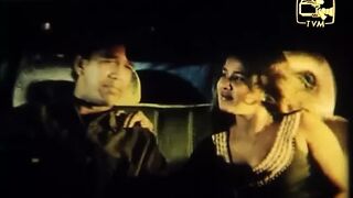 Sri lankan couple having sex in a car