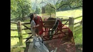 Harmony - Young Harlots Riding - scene 4