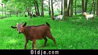 Ugly step old dad seduced by young hot step daughter for sex