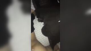 Gorgeous mixed girl gets slammed by BBC