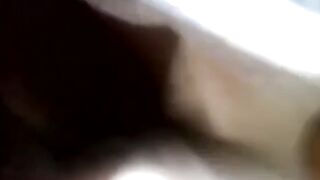Bus eke fan