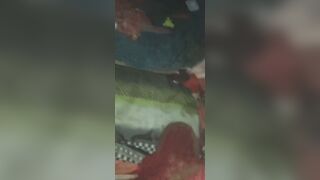 Bebo ne subh subh land khda krwa diya