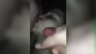 kiss cum
