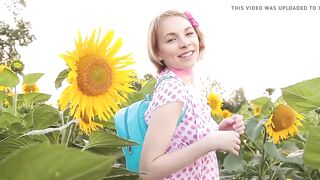 Echo in the sunflowers